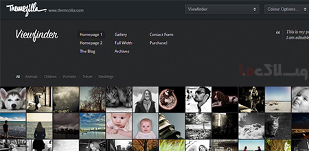 wordpress_theme1