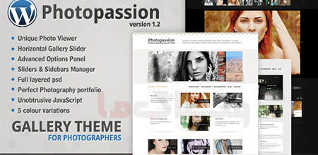 wordpress_theme10