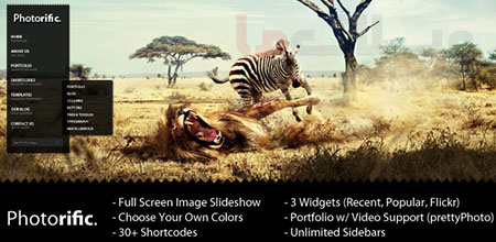 wordpress_theme11