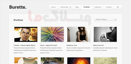 wordpress_theme2