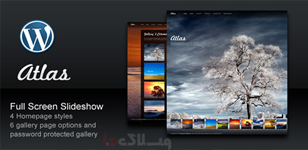 wordpress_theme3