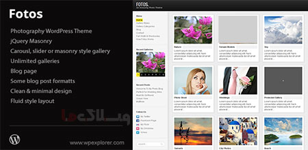 wordpress_theme5