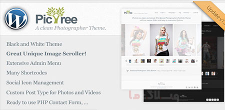wordpress_theme6