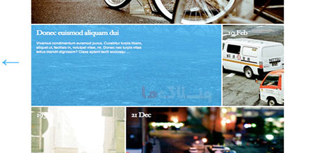 wordpress_theme9