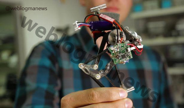 ربات سالتو (SALTO) رکوردار  پرش در بین رباتها