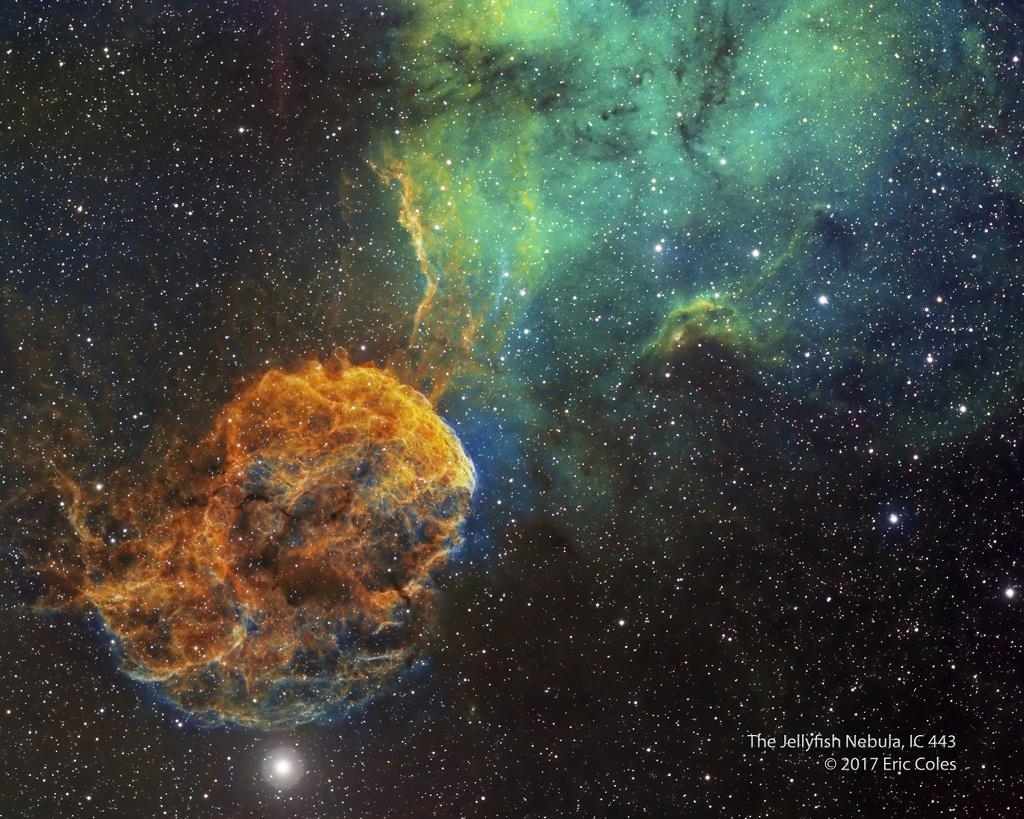 تصویر امروز (18دی ) ناسا از سحابی عروس دریایی(Jellyfish Nebula )
