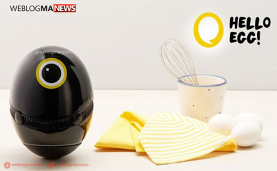 هلو اگ(Hello Egg) دستیار هوشمند آشپزخانه